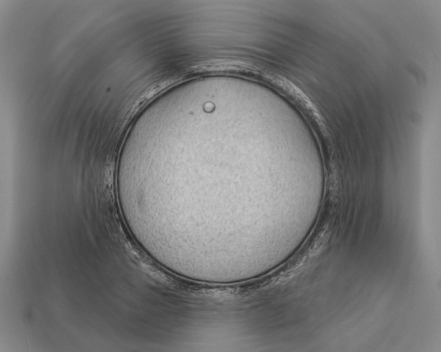 X0000112980937200909241217