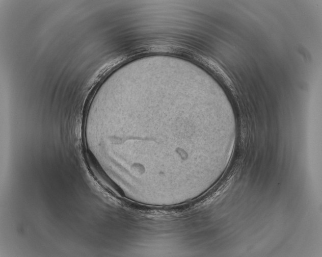 X0000112980938200909241217
