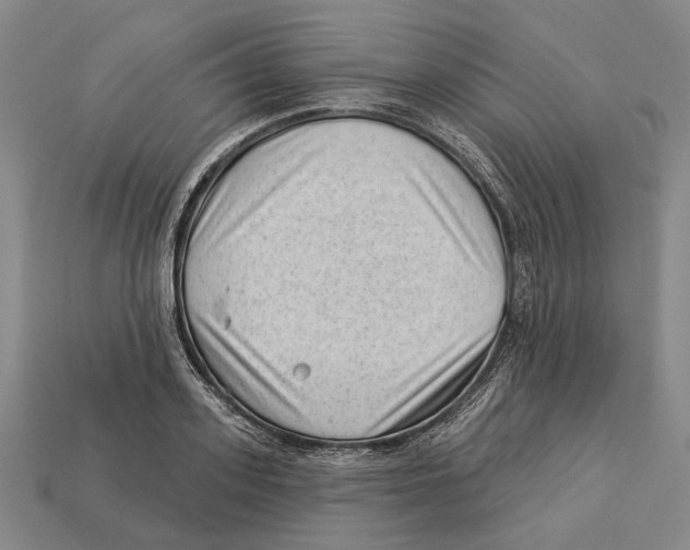 X0000112980939200909241217