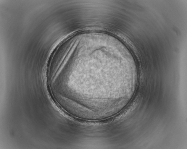 X0000112980941200909241217