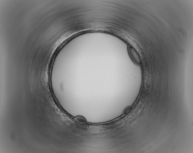 X0000112980944200909241217
