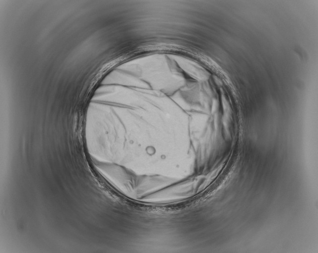 X0000112980945200909241217