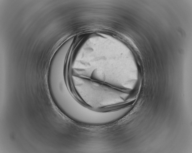 X0000112980946200909241217
