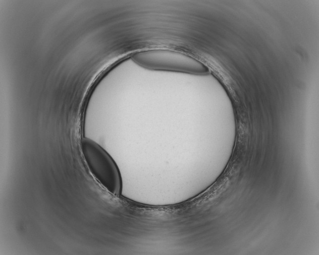 X0000112980948200909241217