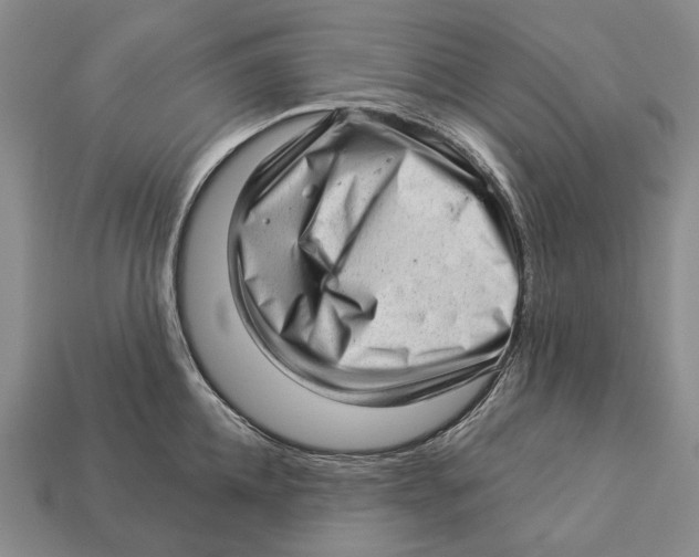 X0000112980952200909241217