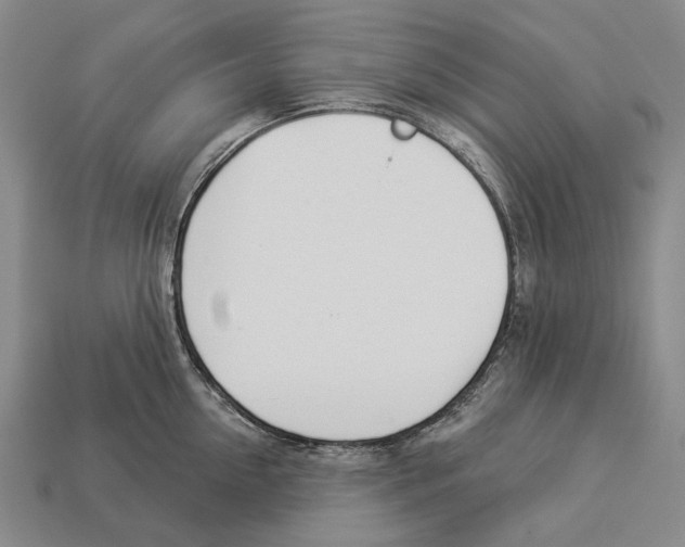 X0000112980954200909241217