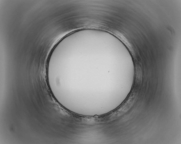 X0000112980956200909241217