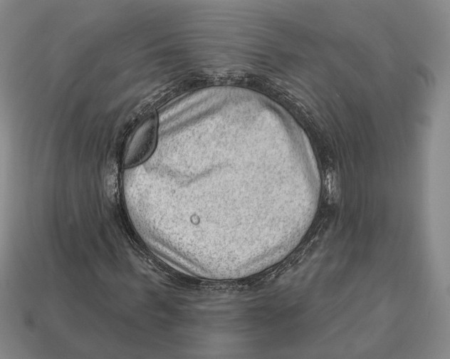 X0000112980963200909241217