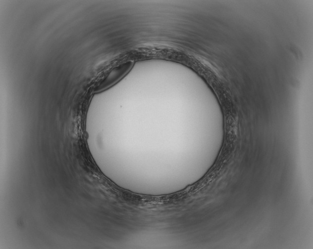 X0000112980965200909241217