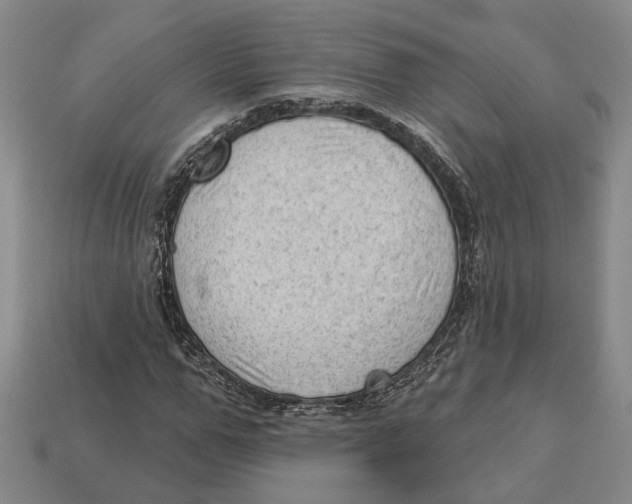 X0000112980967200909241217