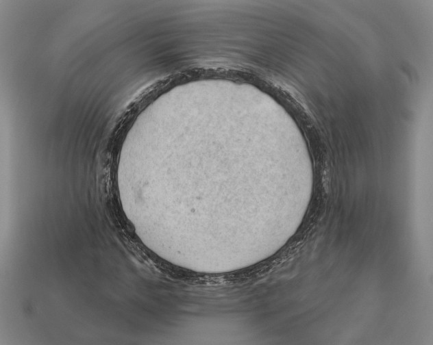 X0000112980968200909241217