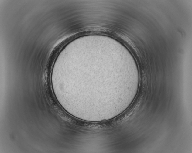 X0000112980971200909241217