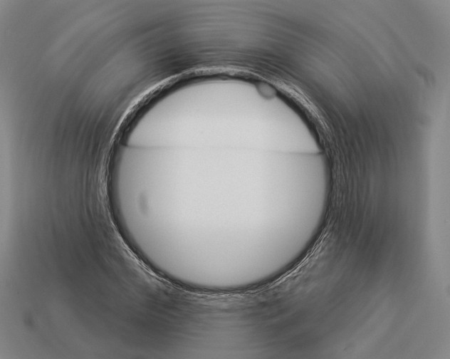 X0000112980972200909241217
