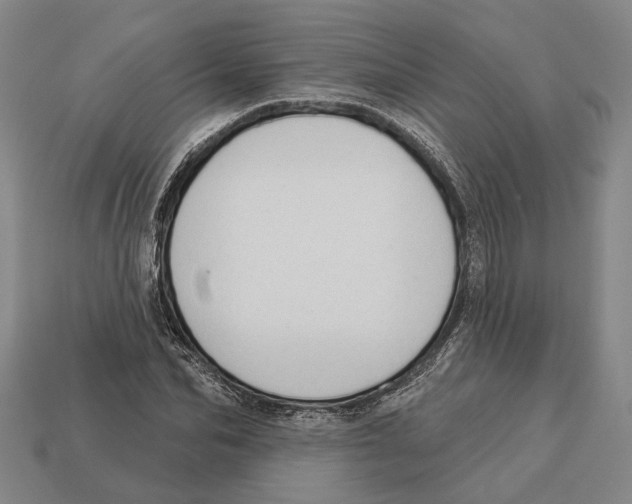 X0000112980974200909241217
