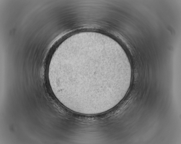 X0000112980975200909241217
