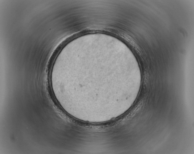 X0000112980976200909241217