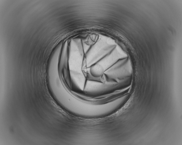 X0000112980977200909241217