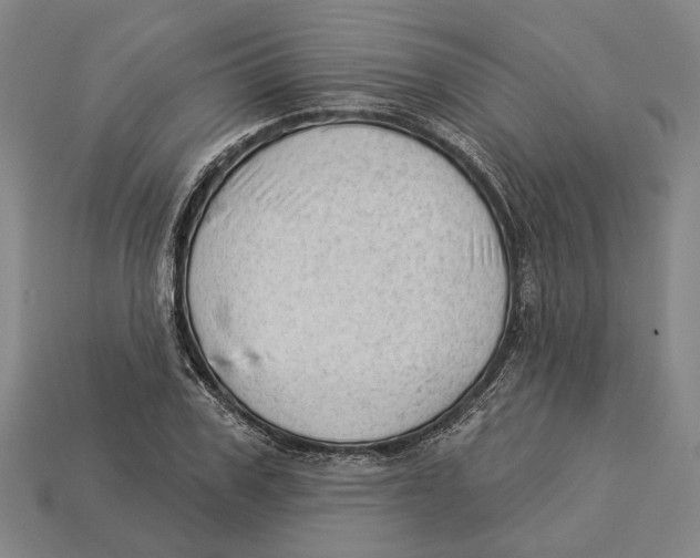 X0000112980979200909241217