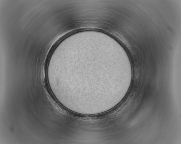 X0000112980980200909241217