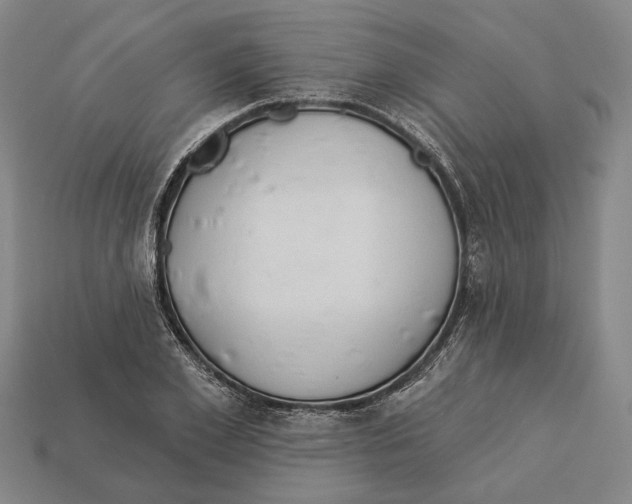 X0000112980981200909241216