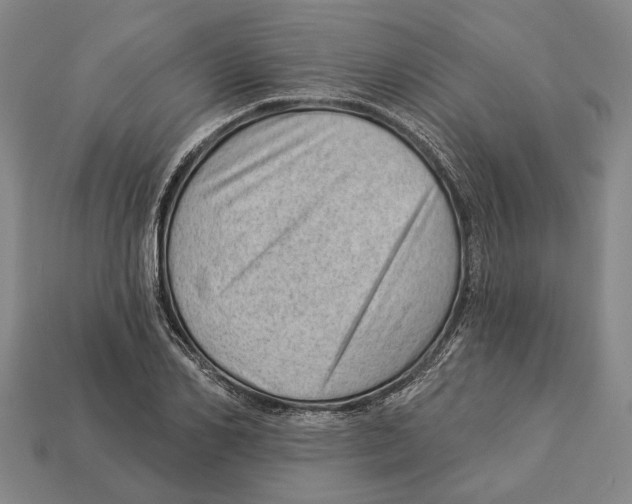 X0000112980982200909241216