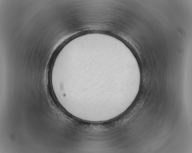 X0000112980983200909241216