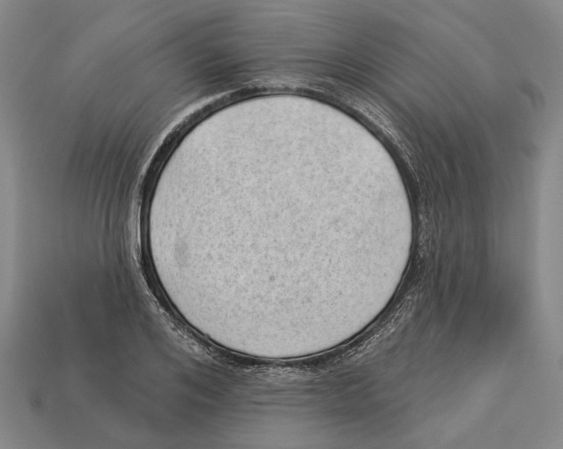X0000112980984200909241216