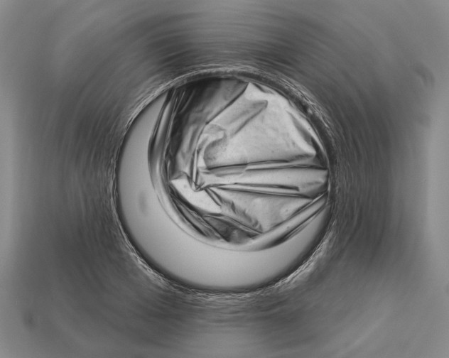 X0000112980985200909241216