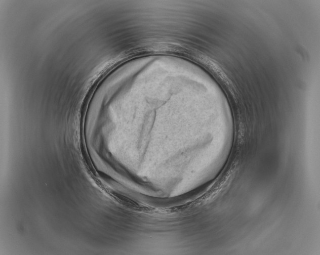 X0000112980986200909241216