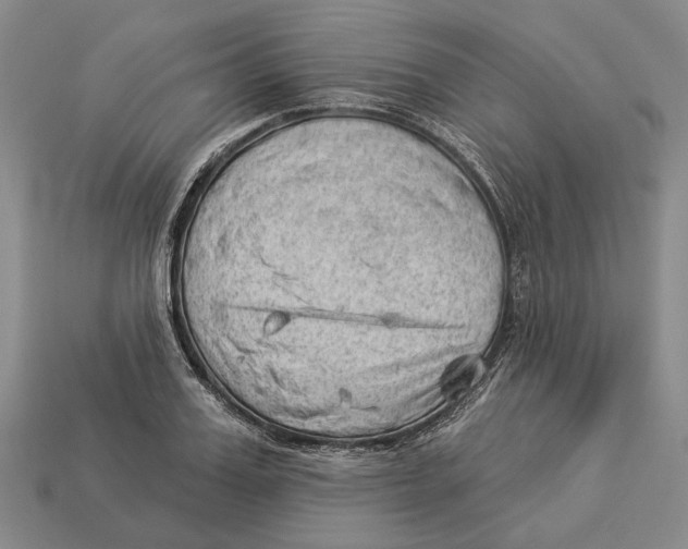 X0000112980987200909241216
