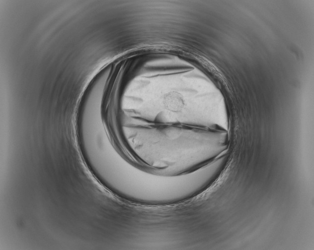 X0000112980989200909241216