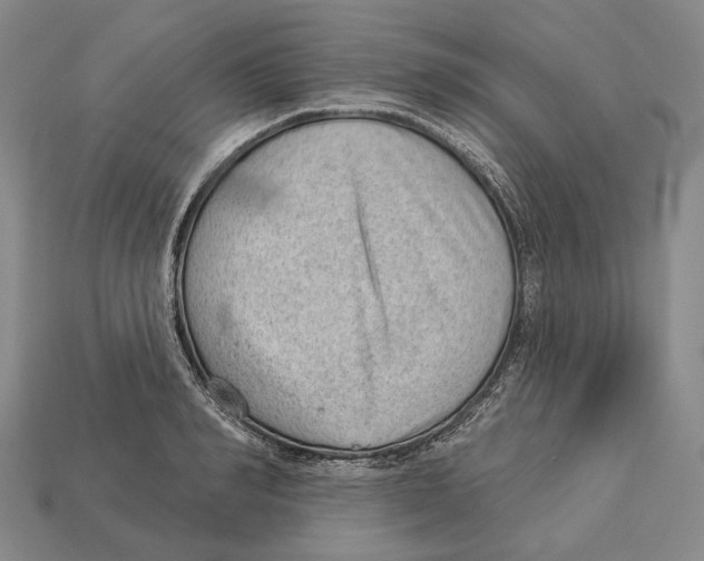 X0000112980990200909241216