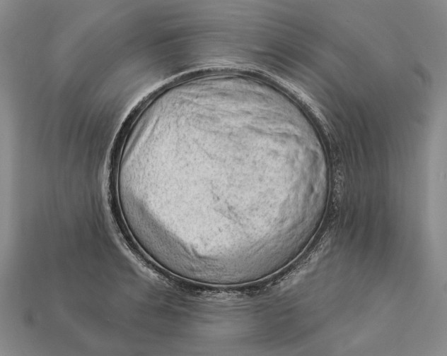 X0000112980991200909241216