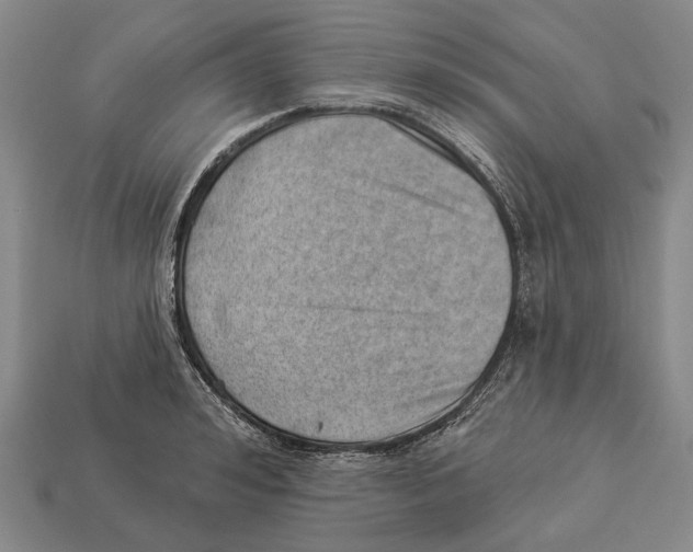 X0000112980992200909241216