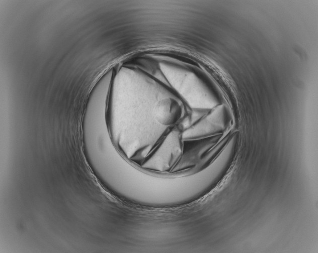 X0000112980993200909241216