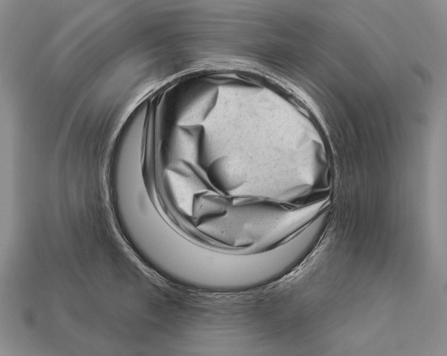 X0000112980997200909241216