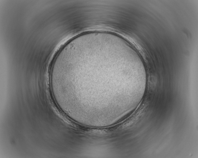 X0000112980998200909241216