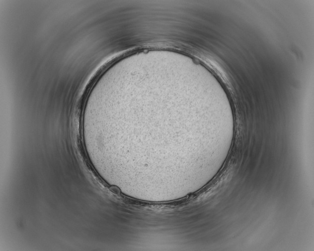 X0000112981000200909241216