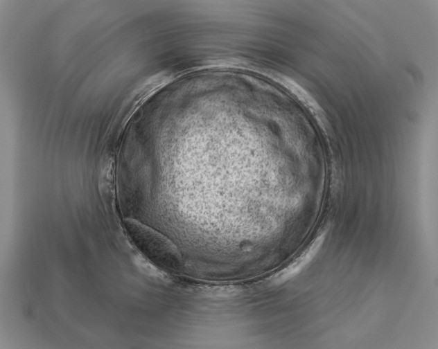 X0000112981001200909241216