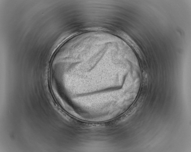 X0000112981002200909241216