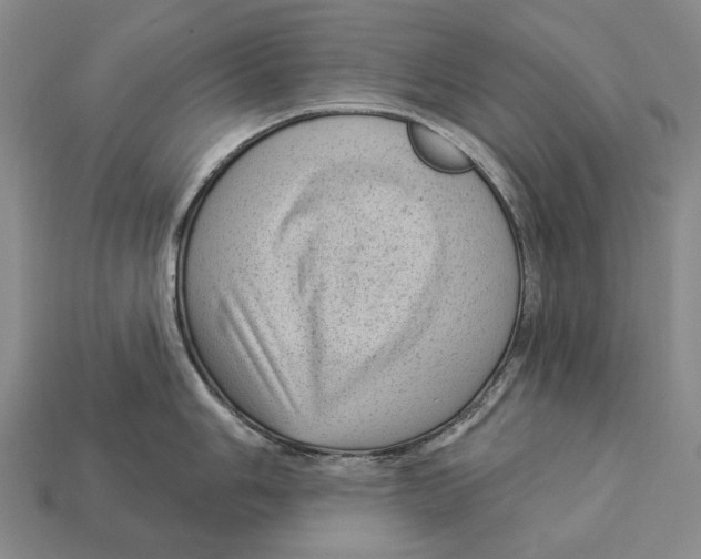 X0000112981006200909241216