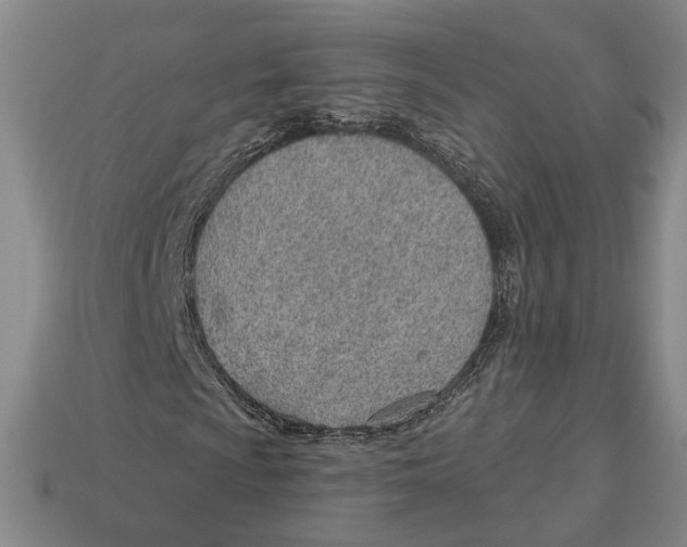 X0000112981009200909241216