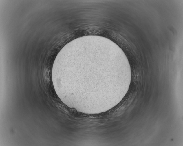 X0000112981010200909241216