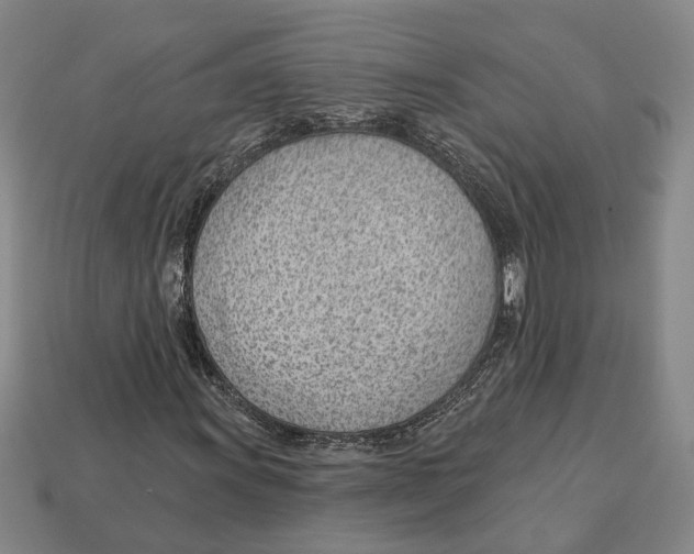 X0000112981011200909241216