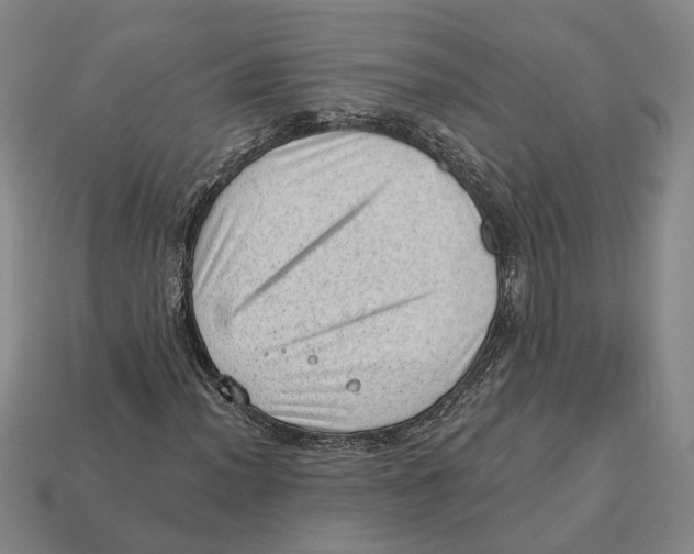 X0000112981012200909241216