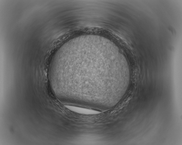 X0000112981013200909241216