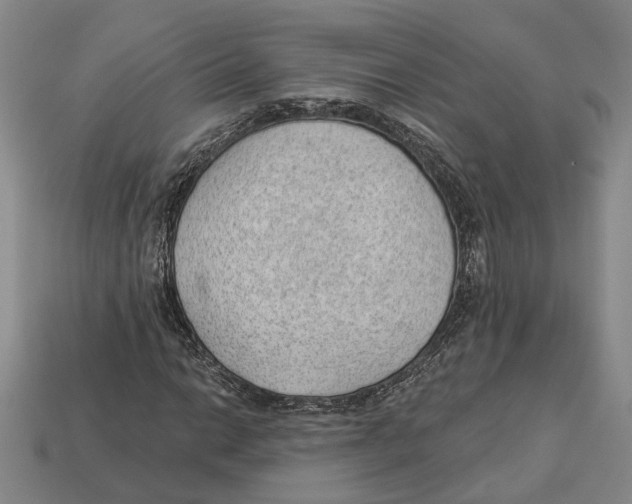 X0000112981014200909241216
