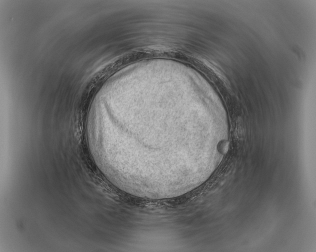 X0000112981015200909241216