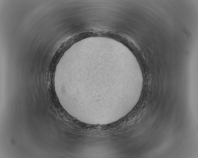 X0000112981016200909241216