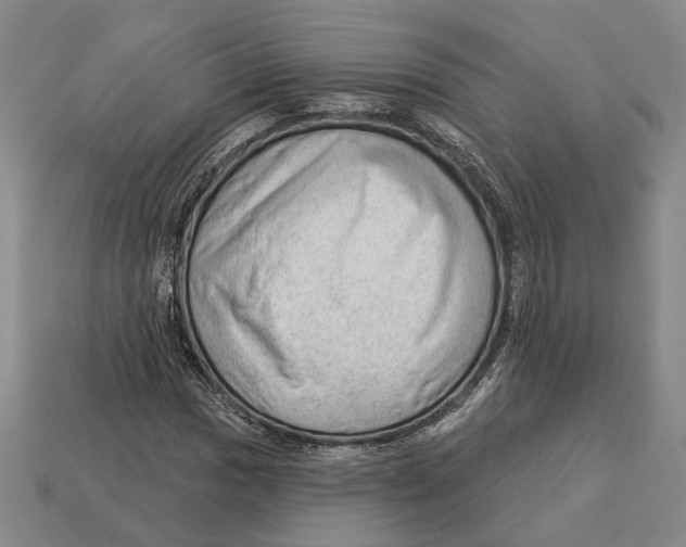 X0000112981017200909241216
